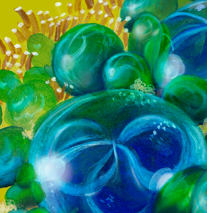 Perle des mers