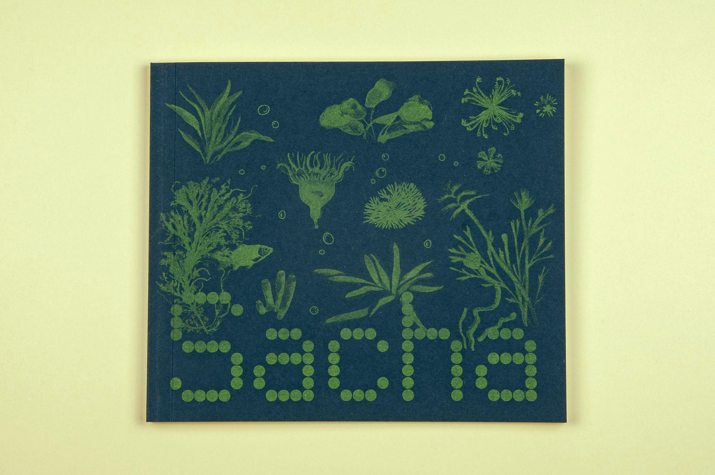 Sacha